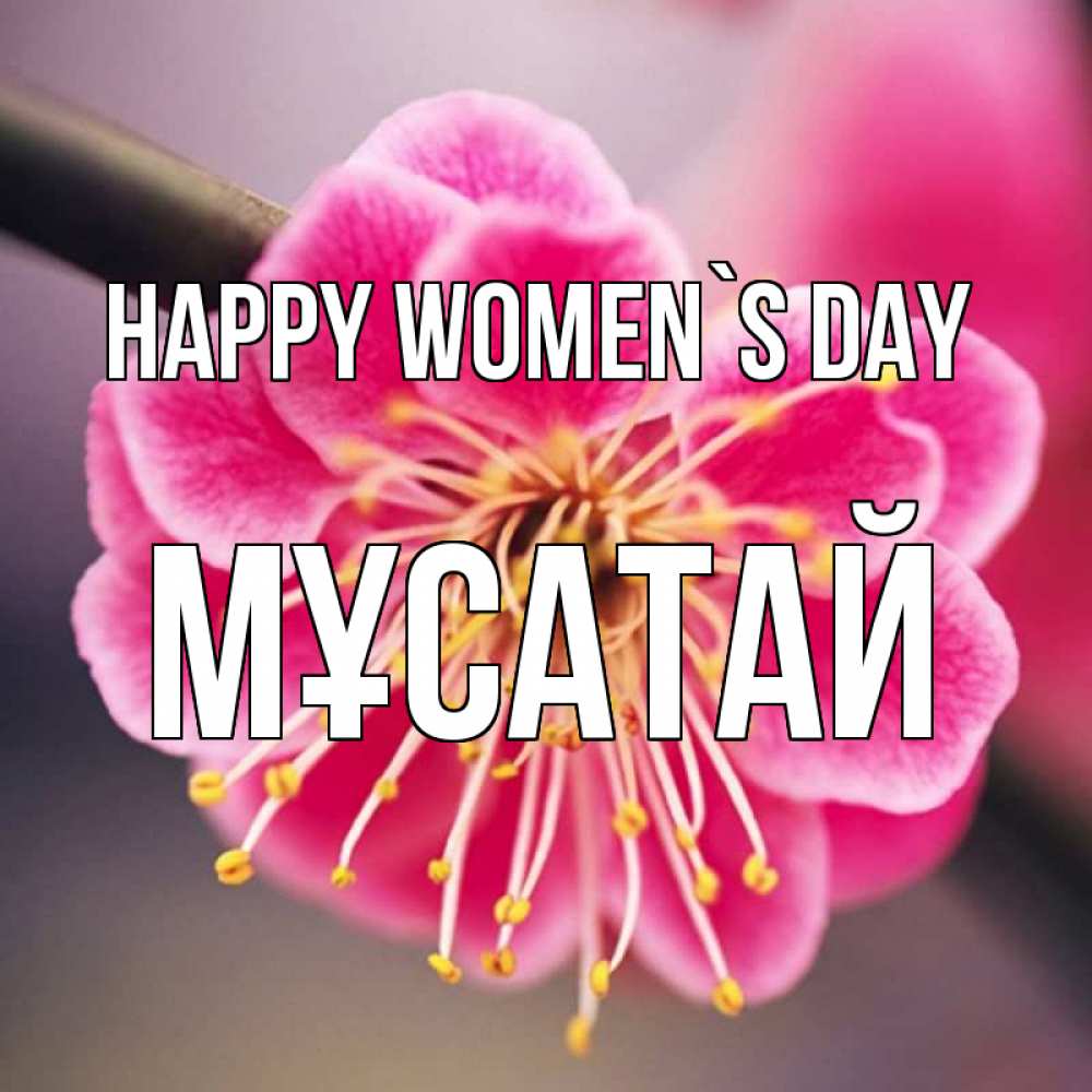 Greetings card с именем, Мұсатай happy women`s day цветы Greetings with text for free download 